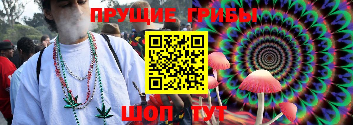 Нурлат  Псилоцибиновые грибы MAGIC MUSHROOMS  Вход с VPN 